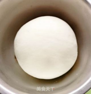 马齿笕猪肉包的做法步调：4
