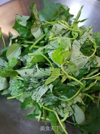 浑炒白薯苗的做法步调：5