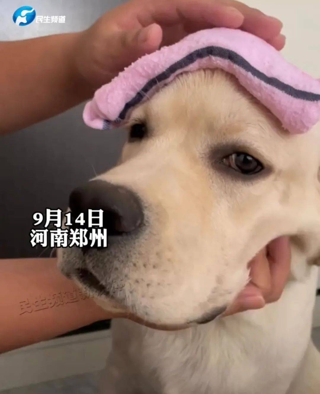 HRt8ZOU8ZKbdO38L.jpg