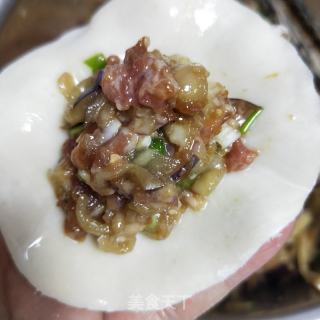 猪肉茄子馅蒸饺的做法步调：11