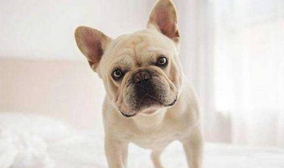 CuTP9PPRKx6PkpUG.jpg