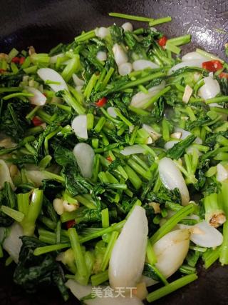 喷鼻辣萝卜缨的做法步调：9