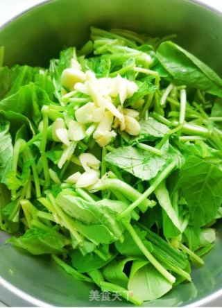 浑炒萝卜苗的做法步调：2