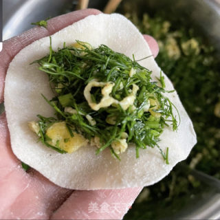 酸汤茴喷鼻饺子的做法步调：5