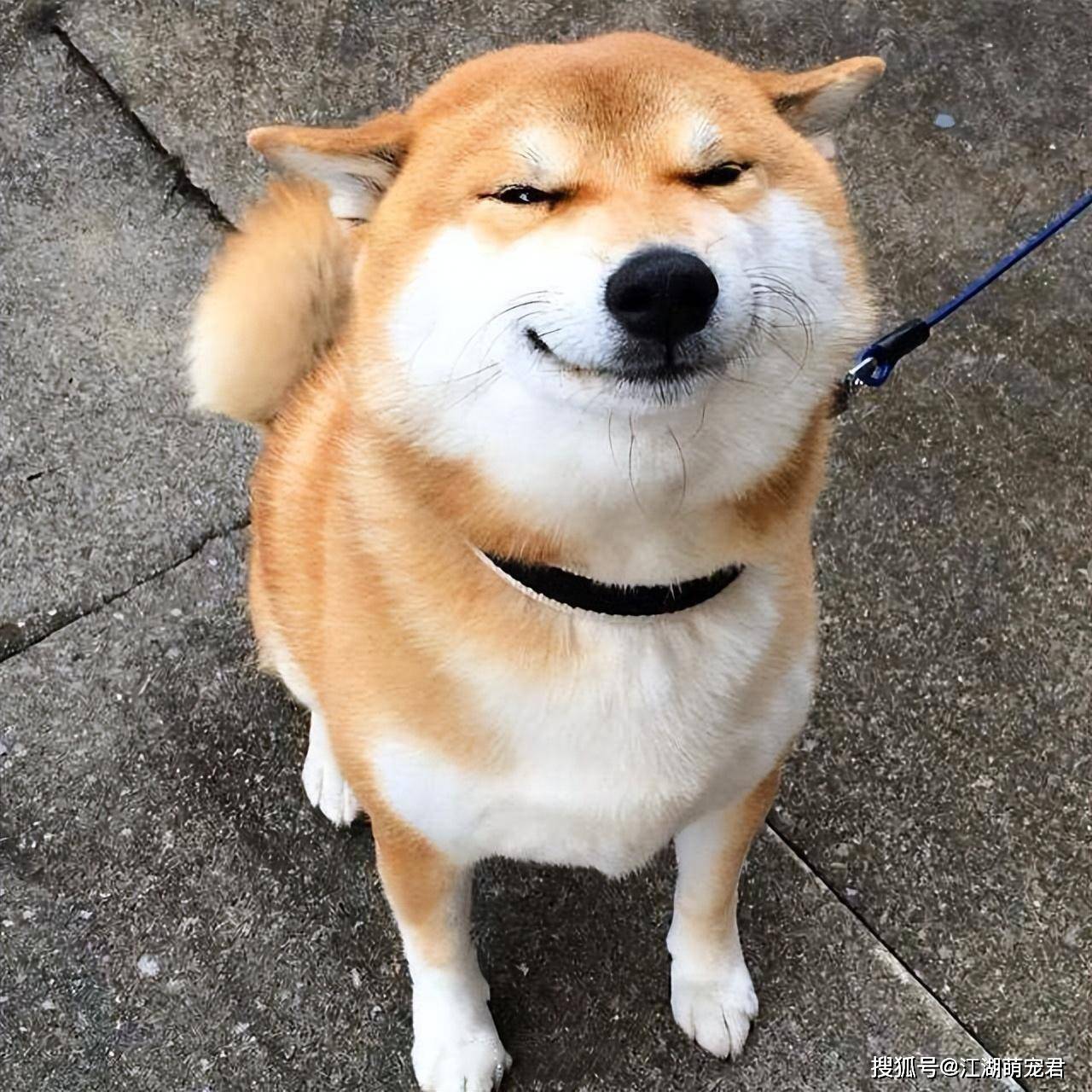 HPUgz74646xaLr8U.jpg