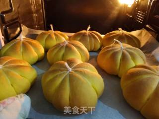 苦涩硬糯又好吃的北瓜豆沙包的做法步调：8