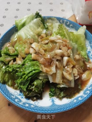 蚝油死菜的做法步调：11