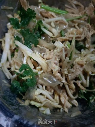 利剑菜粉皮拌鸡的做法步调：16