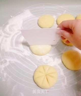 玉米里收里饼的做法步调：7