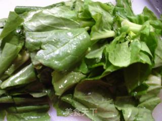 虾仁千张炒菜芯的做法步调：4