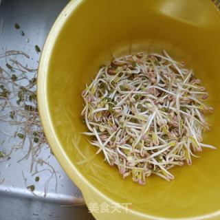 绿芽菜炒海参的做法步调：2