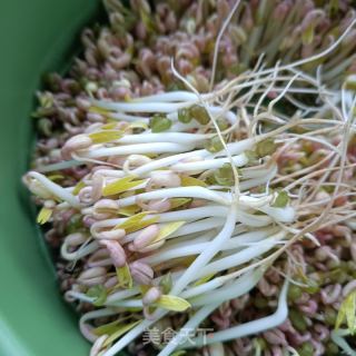 绿芽菜炒海参的做法步调：1