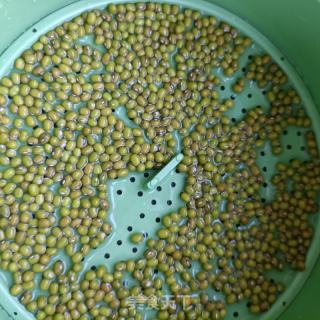 自觉绿芽菜的做法步调：3