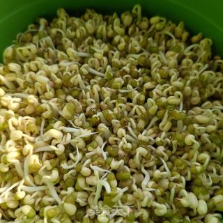 自觉绿芽菜的做法步调：7