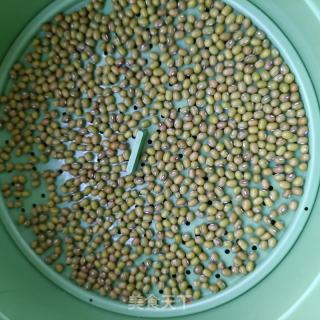 自觉绿芽菜的做法步调：2