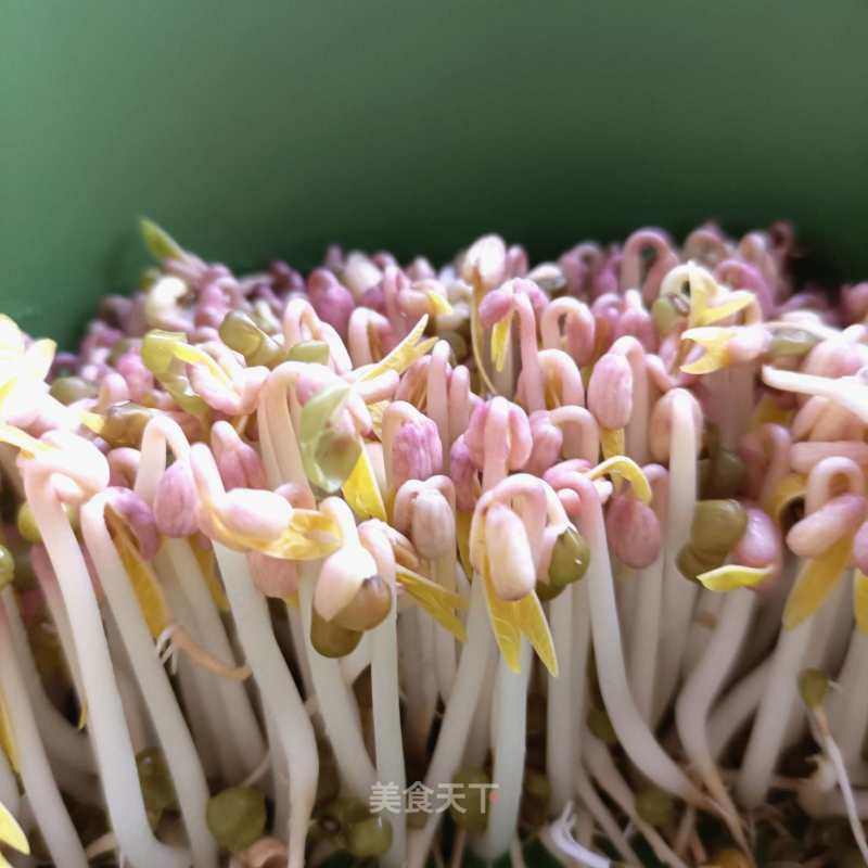 自觉绿芽菜的做法