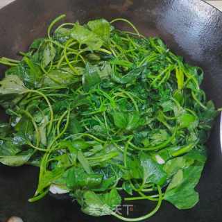 蒜喷鼻白薯叶的做法步调：6