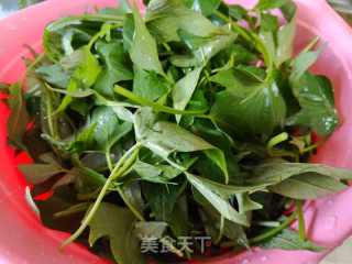 蒜喷鼻白薯叶的做法步调：2