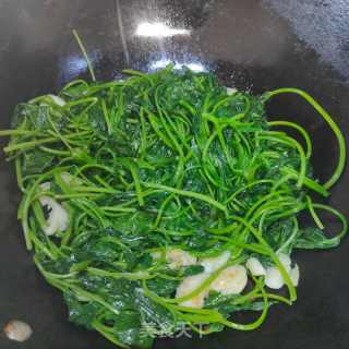 蒜喷鼻白薯叶的做法步调：7