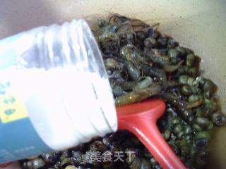 河虾炒螺蛳的做法步调：8