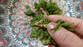 凉拌刺五减的做法步调：2