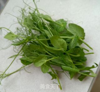 自种豌豆尖的做法步调：6