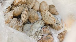 蟹棒火萝卜汤——春季的滋味的做法步调：2