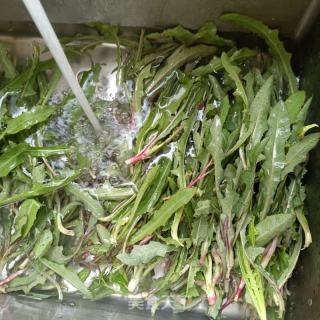 肉终炒蕖荬芽的做法步调：1