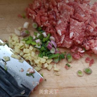 肉终炒蕖荬芽的做法步调：4