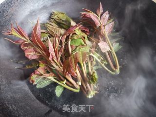 喷鼻椿芽拌豆腐的做法步调：2