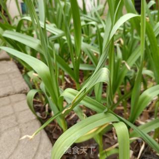 青蒜炒雷笋的做法步调：1