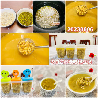 芒种时节吃绿豆系列煮了绿豆薏米糖火的做法步调：6