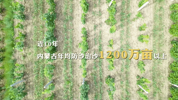 lllCfz5ChxYn7jcf.jpg