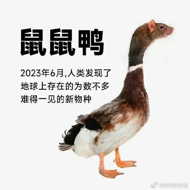 C0dejzOj7Wtdd9j7.jpg