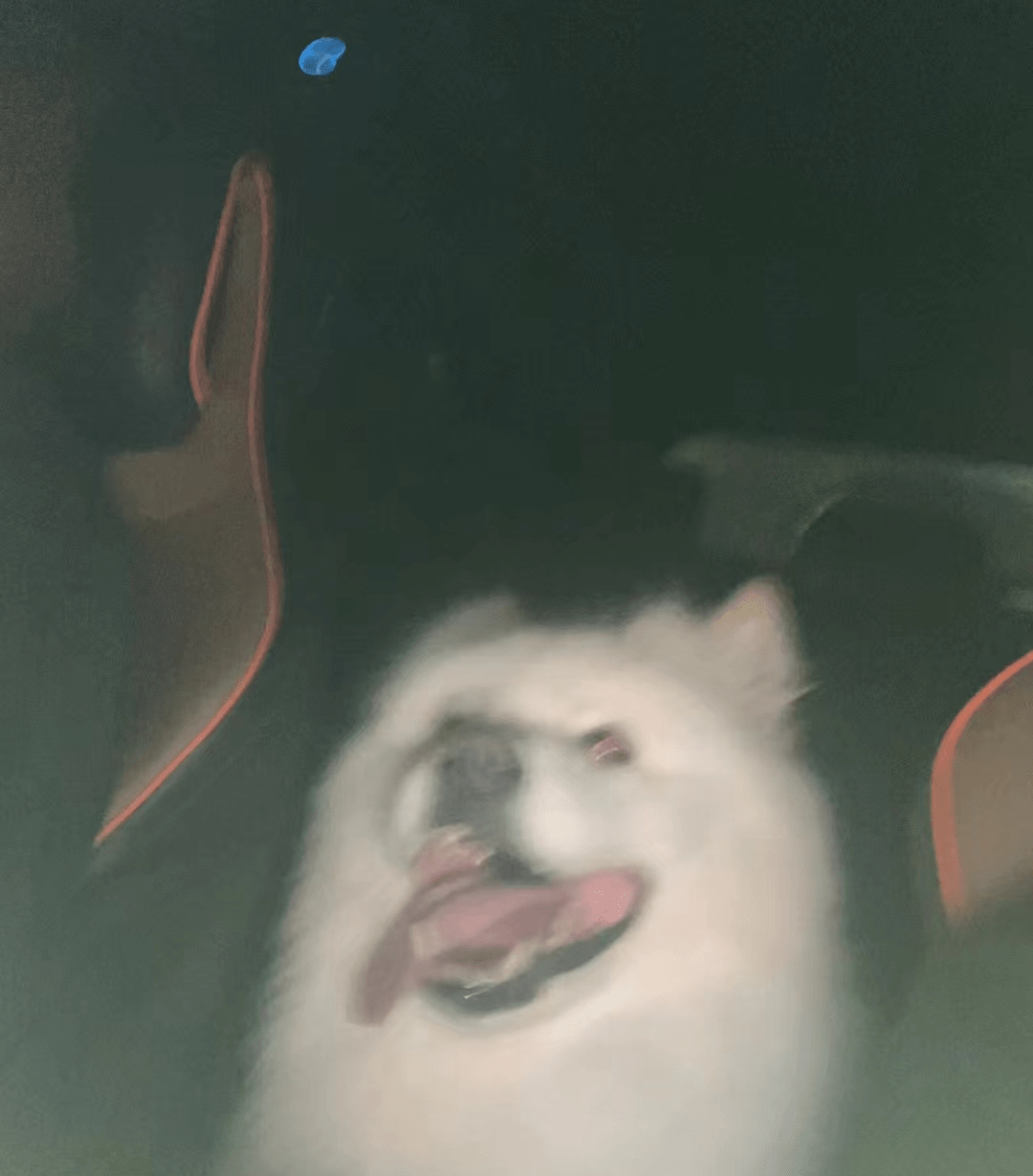 rWUVdVfoYudJIhw3.jpg