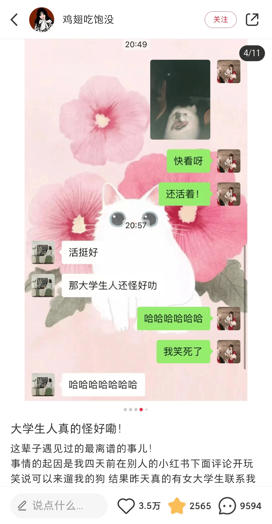 cT97BuyuP6916E99.jpg