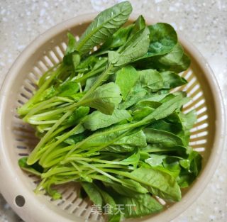 上汤萝卜青的做法步调：2