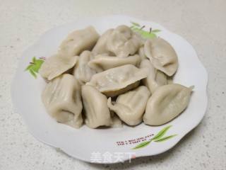 北瓜猪肉馅饺子的做法步调：13