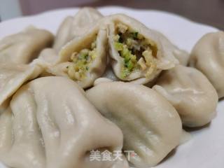 北瓜猪肉馅饺子的做法步调：14