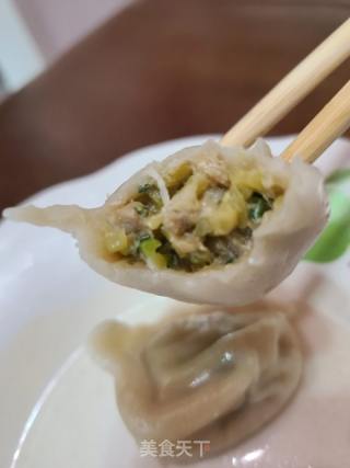 北瓜猪肉馅饺子的做法步调：15