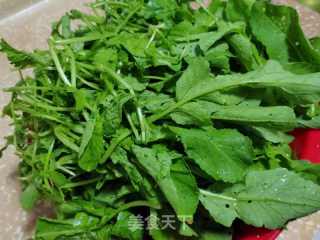 猪油渣炒萝卜缨的做法步调：1