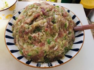 羊肉萝卜饺子的做法步调：6