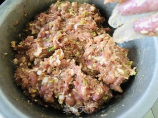 羊肉萝卜饺子的做法步调：2