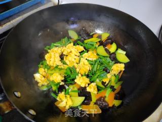 乌木耳北瓜炒蛋的做法步调：7